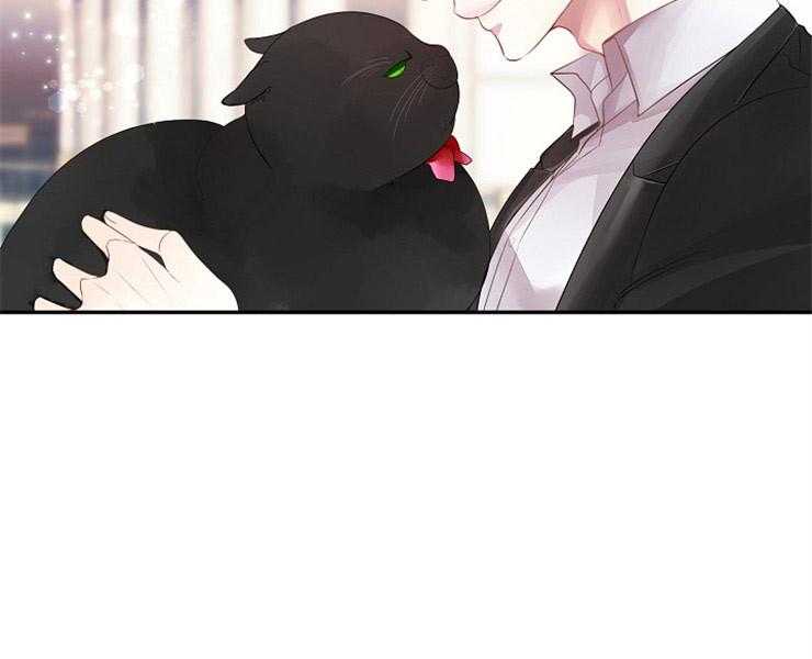 第2话 2_猫跑了8