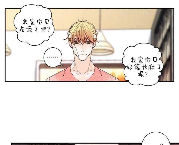第2话 2_猫跑了9