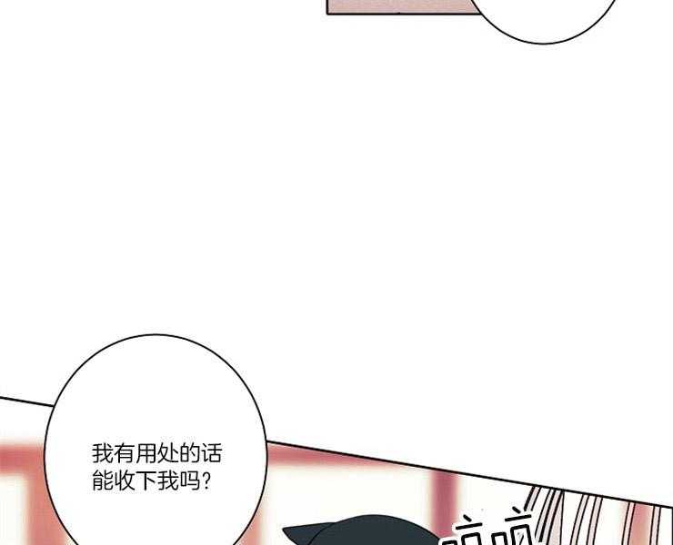 第6话 6_请收留我43