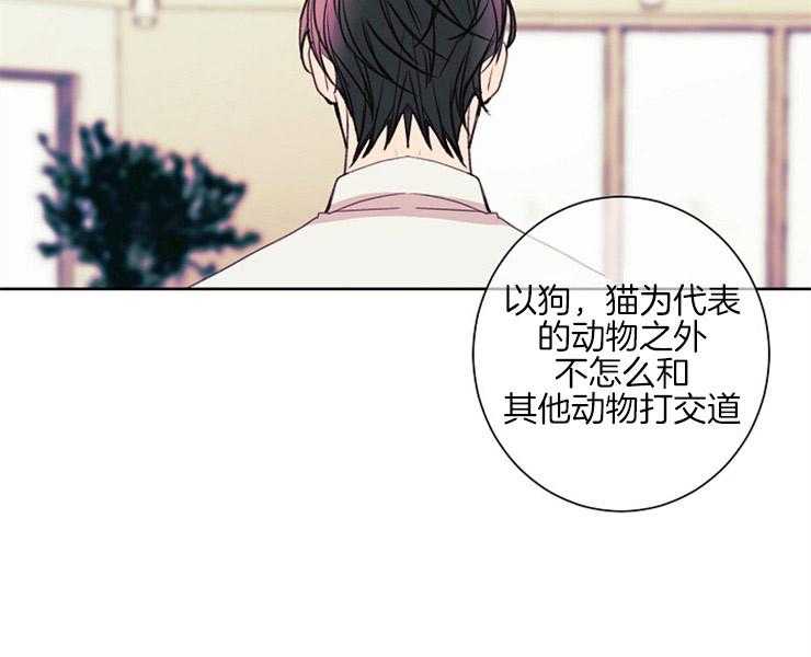 第8话 8_让我做你的狗35