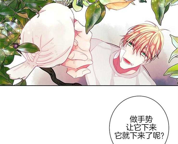 第8话 8_让我做你的狗5