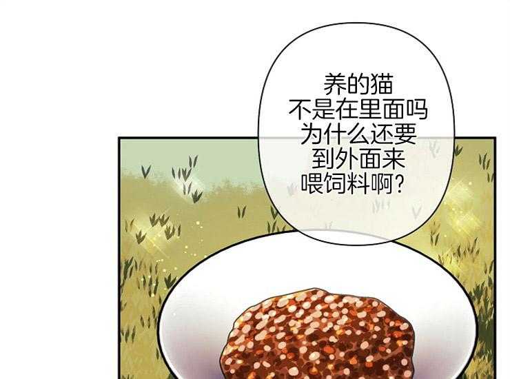 第11话 11_主人18