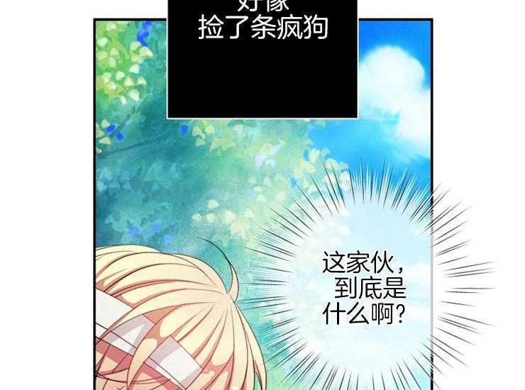 第12话 12_亚历山大10