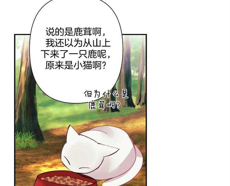 第19话 19_酬金41