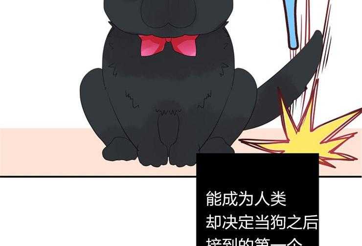 第22话 22_完成任务37