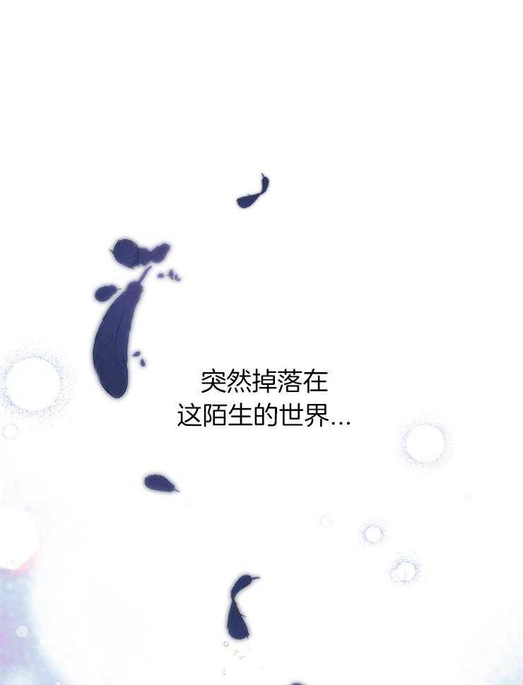 第1话 1_梅绿0