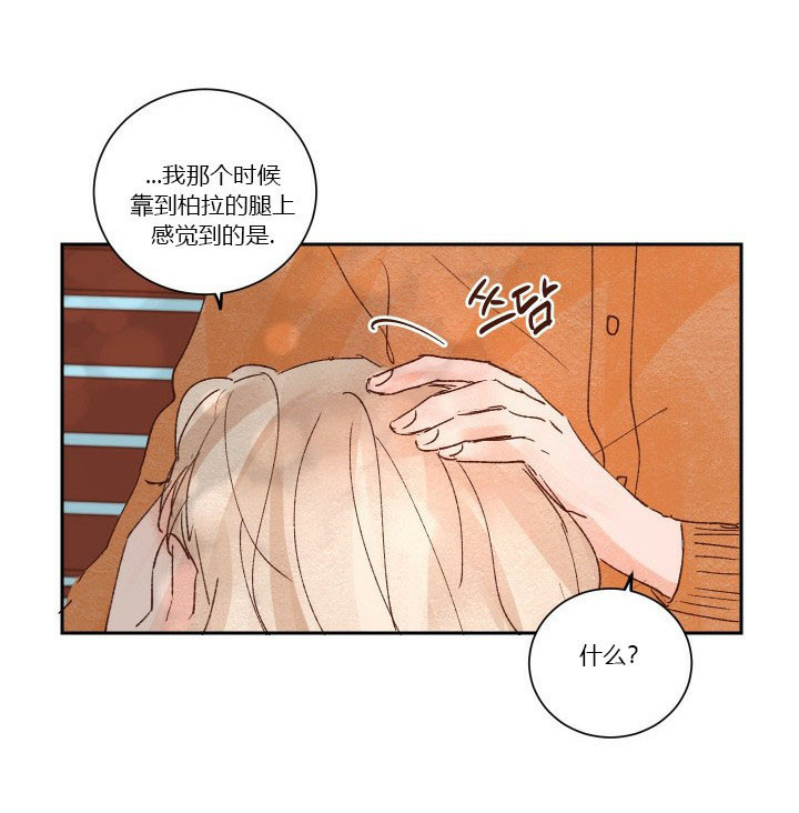 第32话 3217