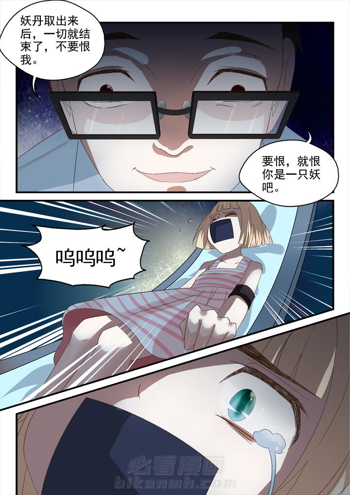 第54话 失踪1