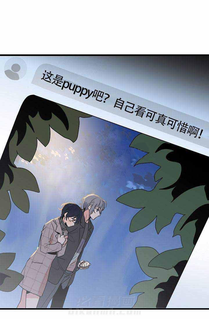 第20话 照片16