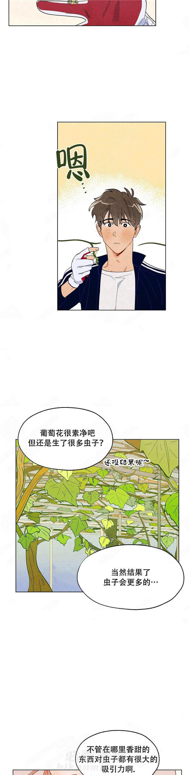 第8话 狐狸吃甜葡萄9
