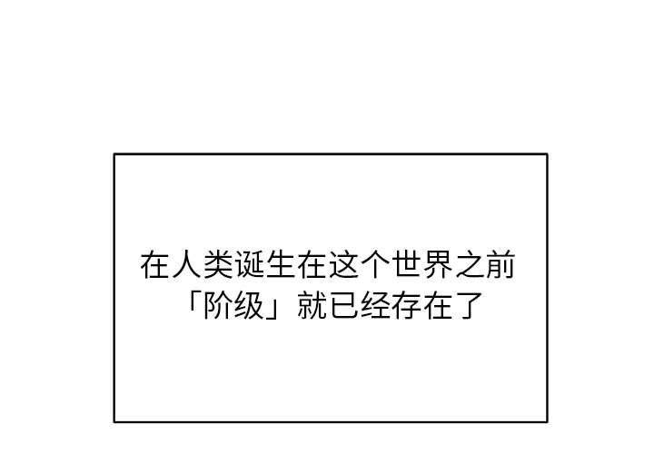 第80话 800
