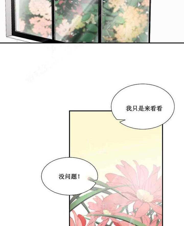 第17话 宝石23