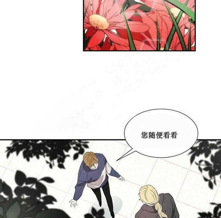 第17话 宝石24