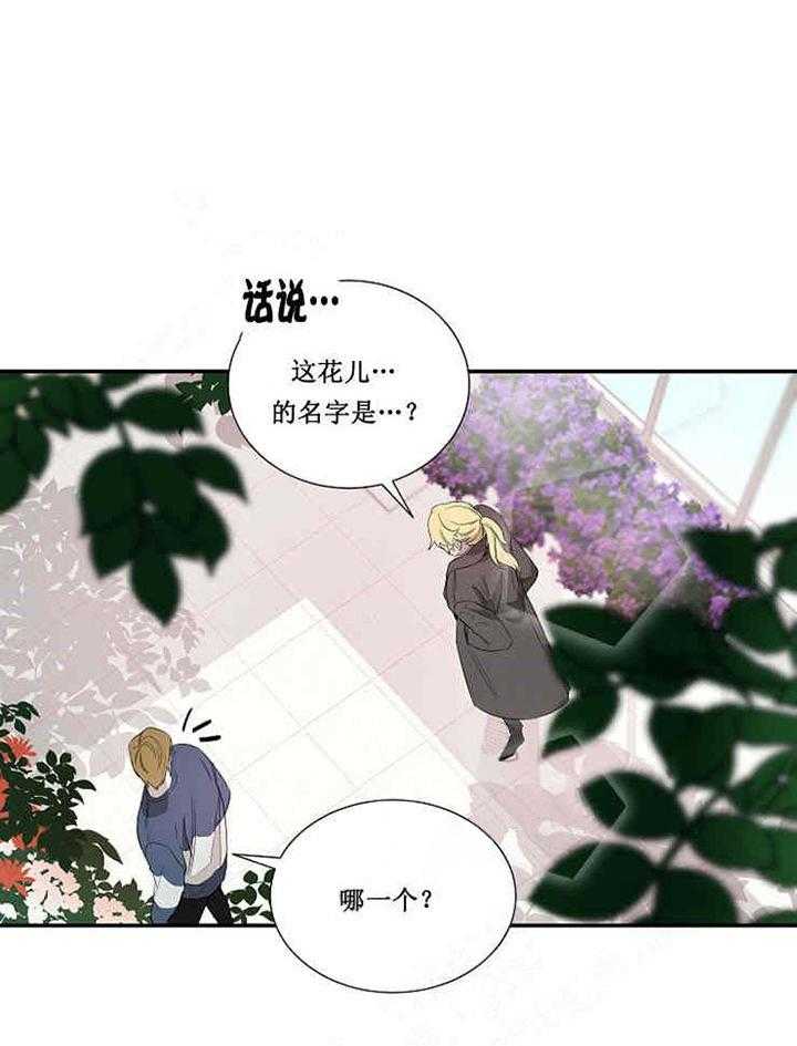 第17话 宝石34