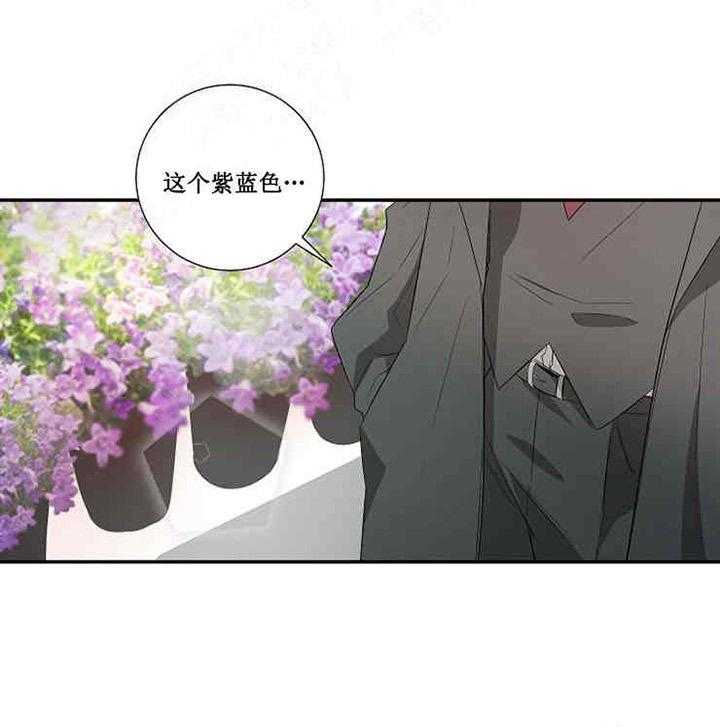 第17话 宝石35