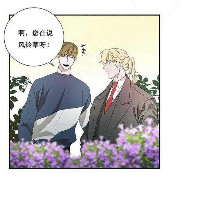 第17话 宝石36