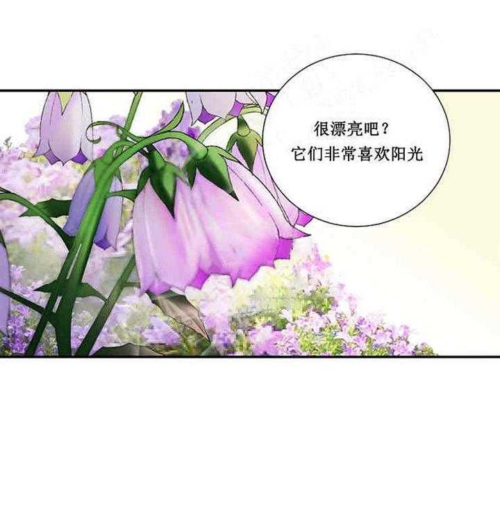第17话 宝石37