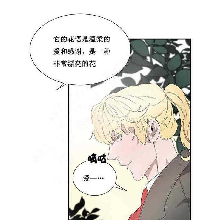 第17话 宝石38