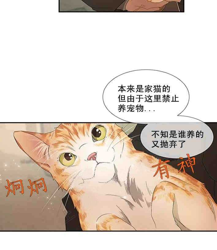 第20话 别有不该有的好奇13