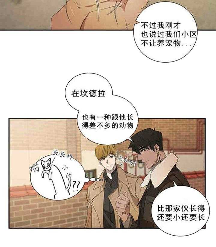 第20话 别有不该有的好奇20