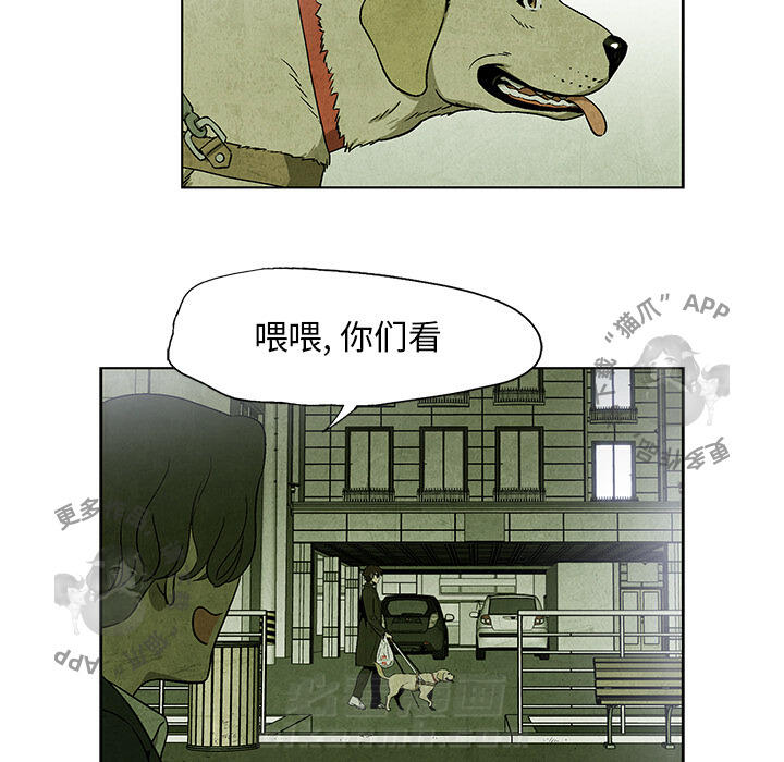 第9话 916