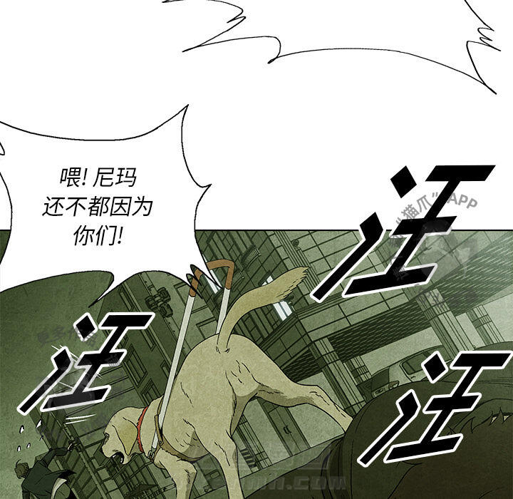 第9话 955