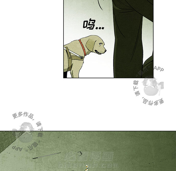 第9话 960