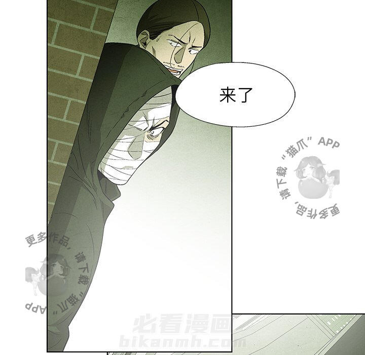 第50话 5036