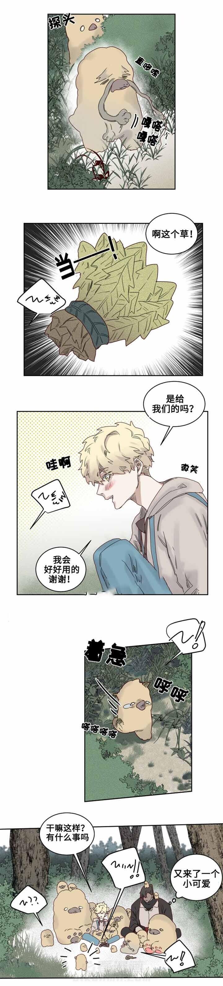 第19话 观察员10
