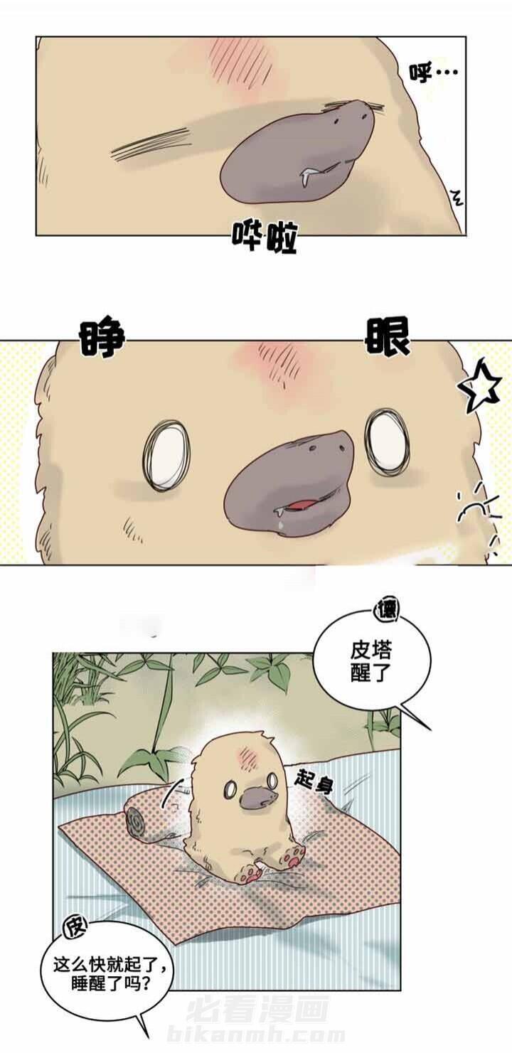 第19话 观察员3