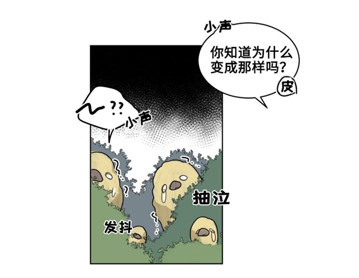 第20话 狂暴2