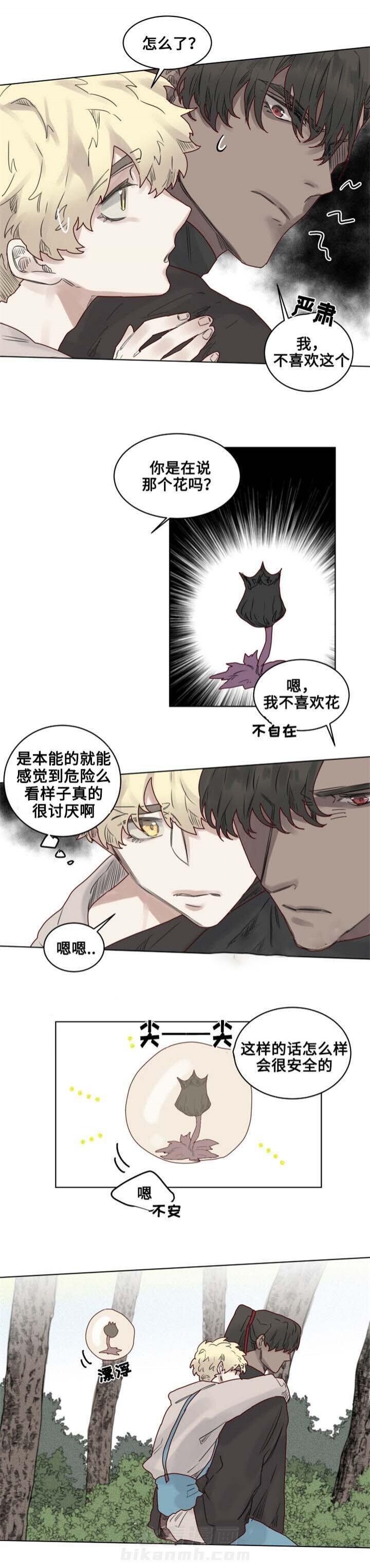 第22话 神秘的花0