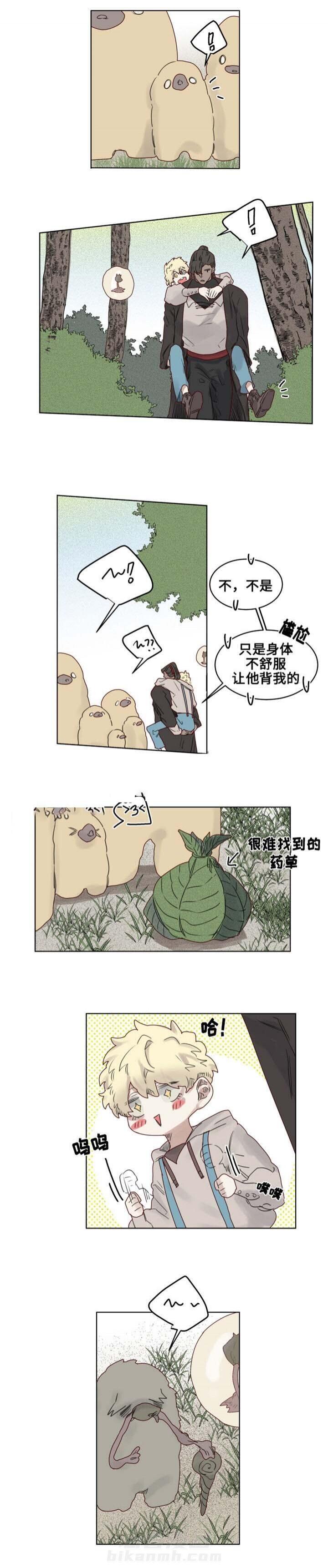 第22话 神秘的花1