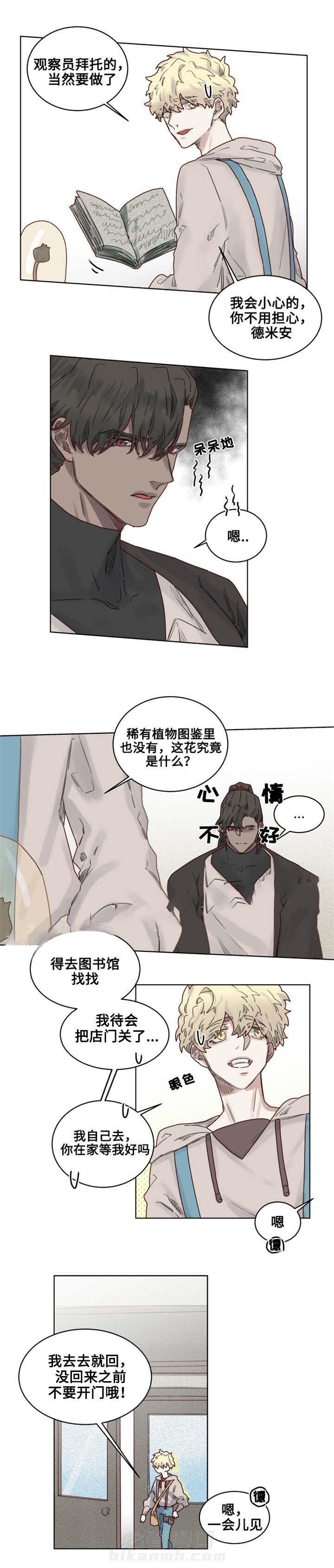 第22话 神秘的花3
