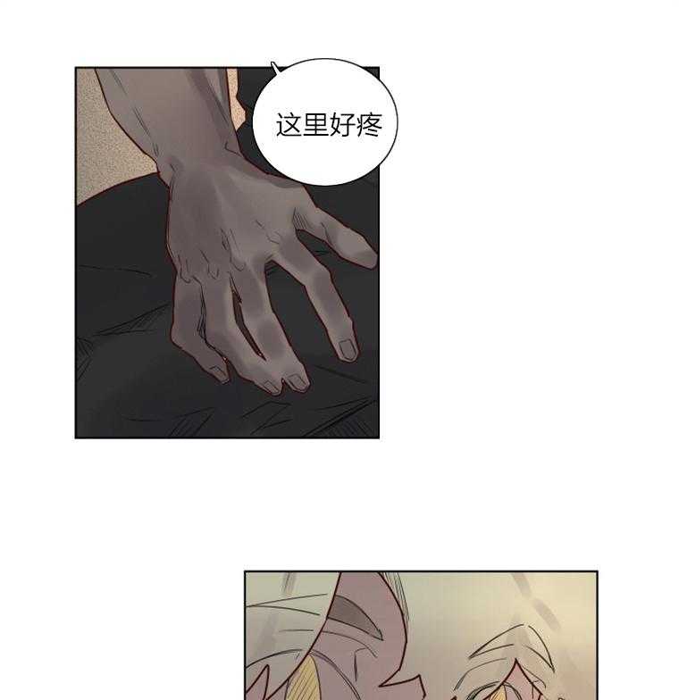 第29话 是我来晚了16