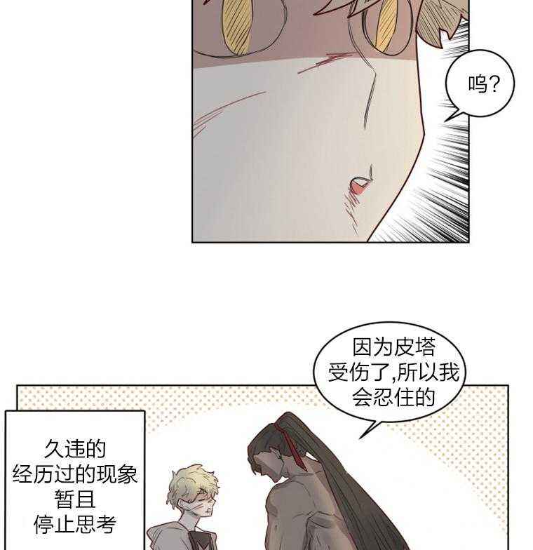 第29话 是我来晚了17
