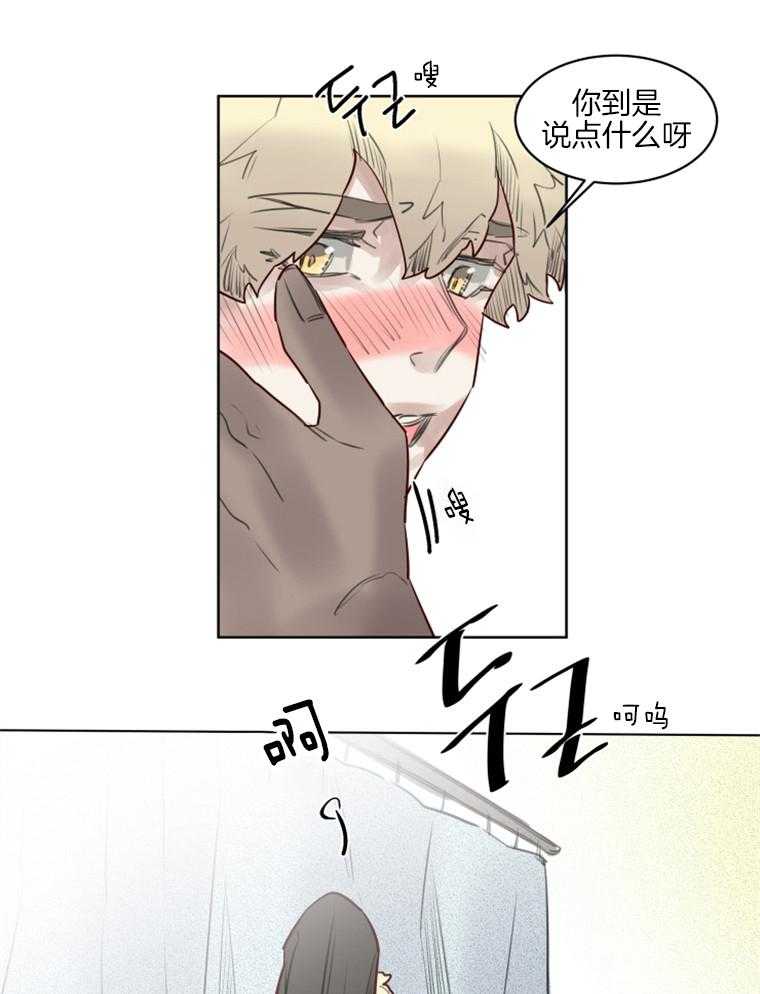 第42话 告白12