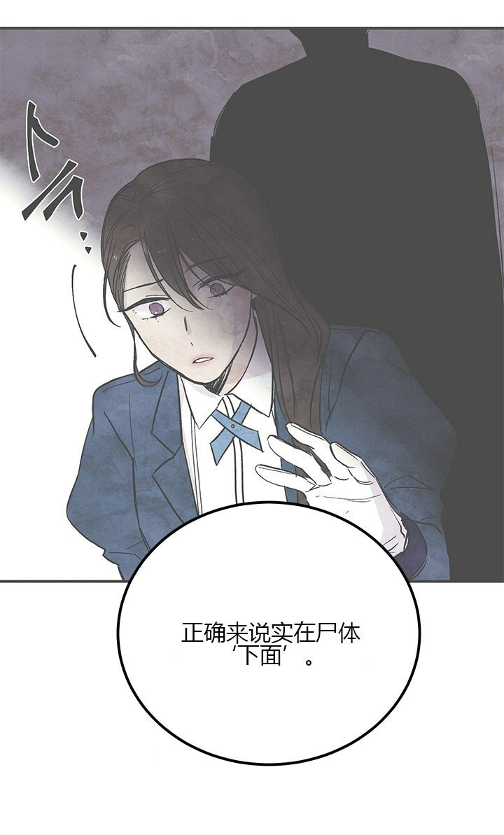第9话 胸针20