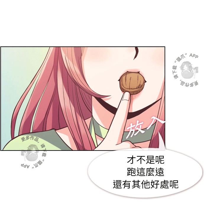 第51话 郑主任和高速巴士7