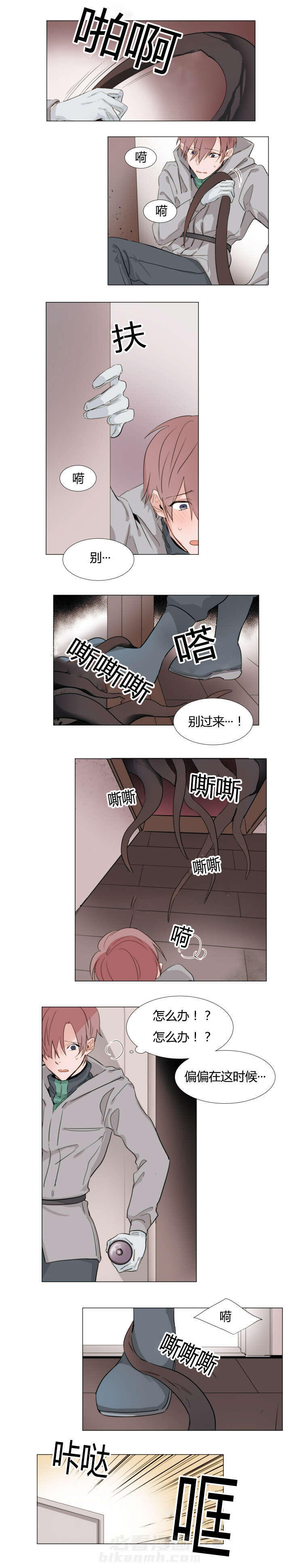 第20话 树根0