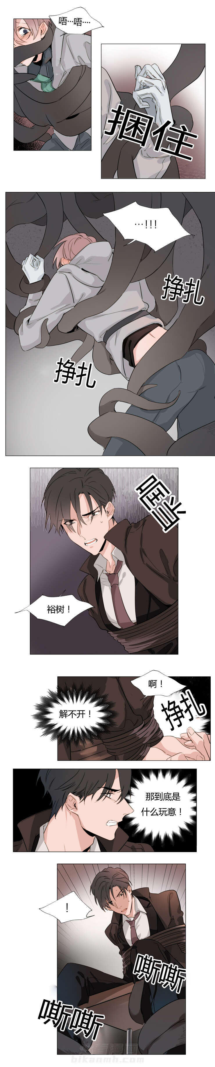 第20话 树根4