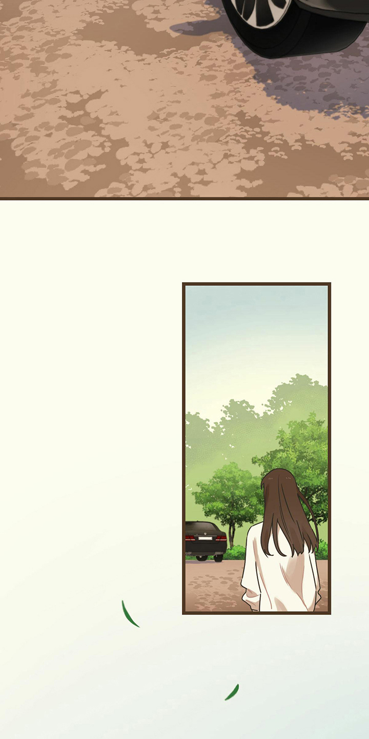 第7章：观望14