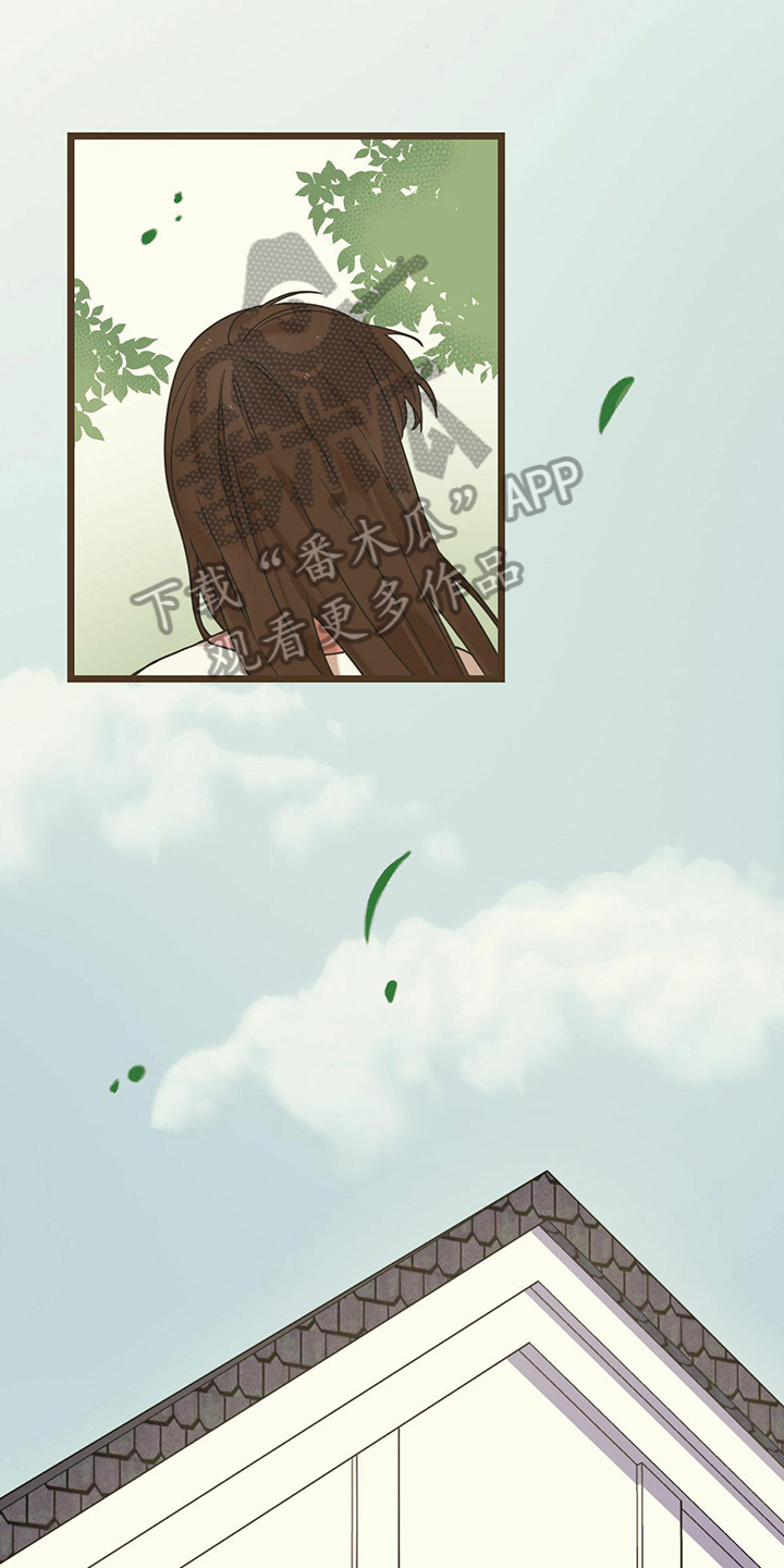 第7章：观望15