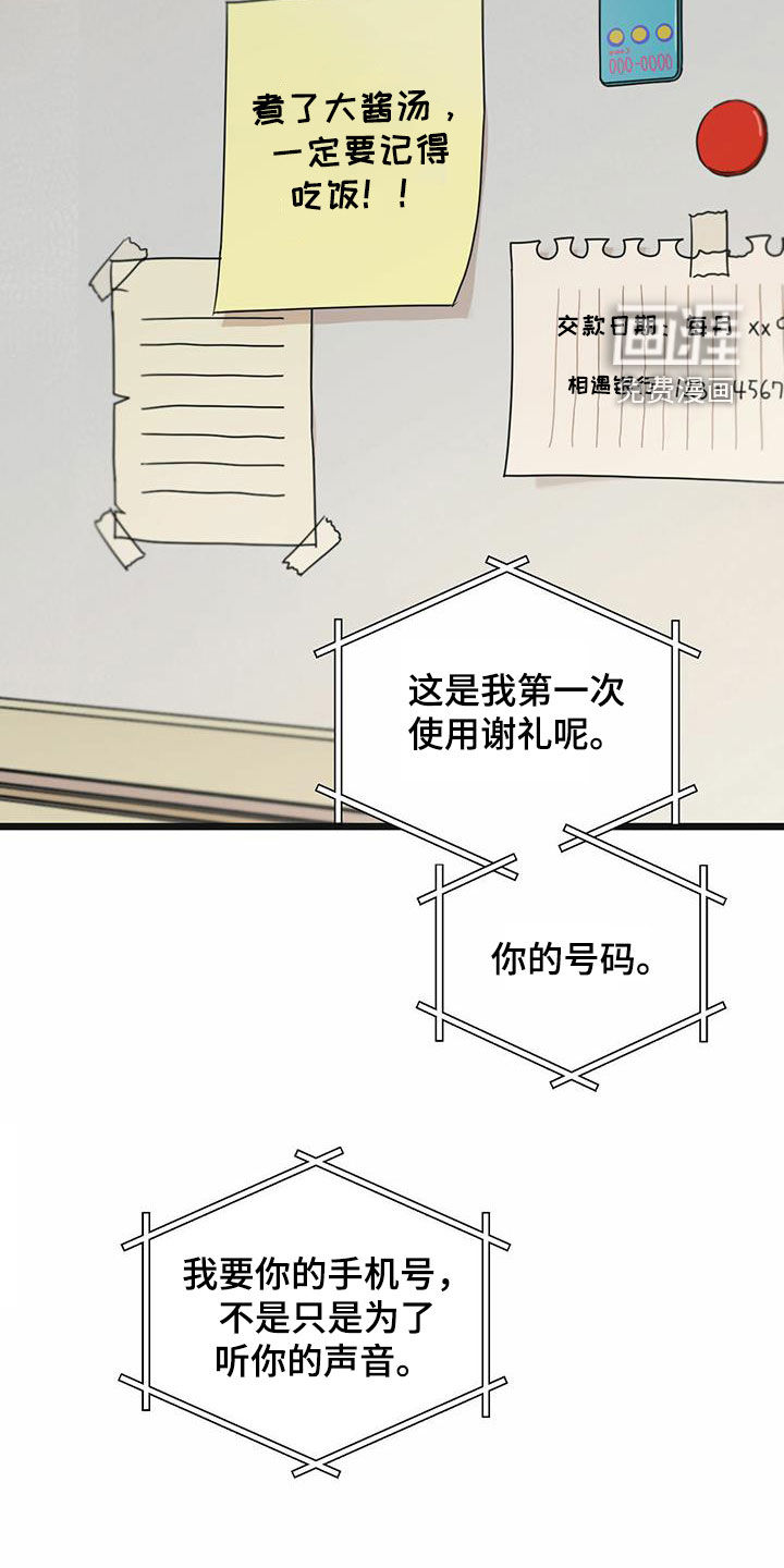第41章：条件6