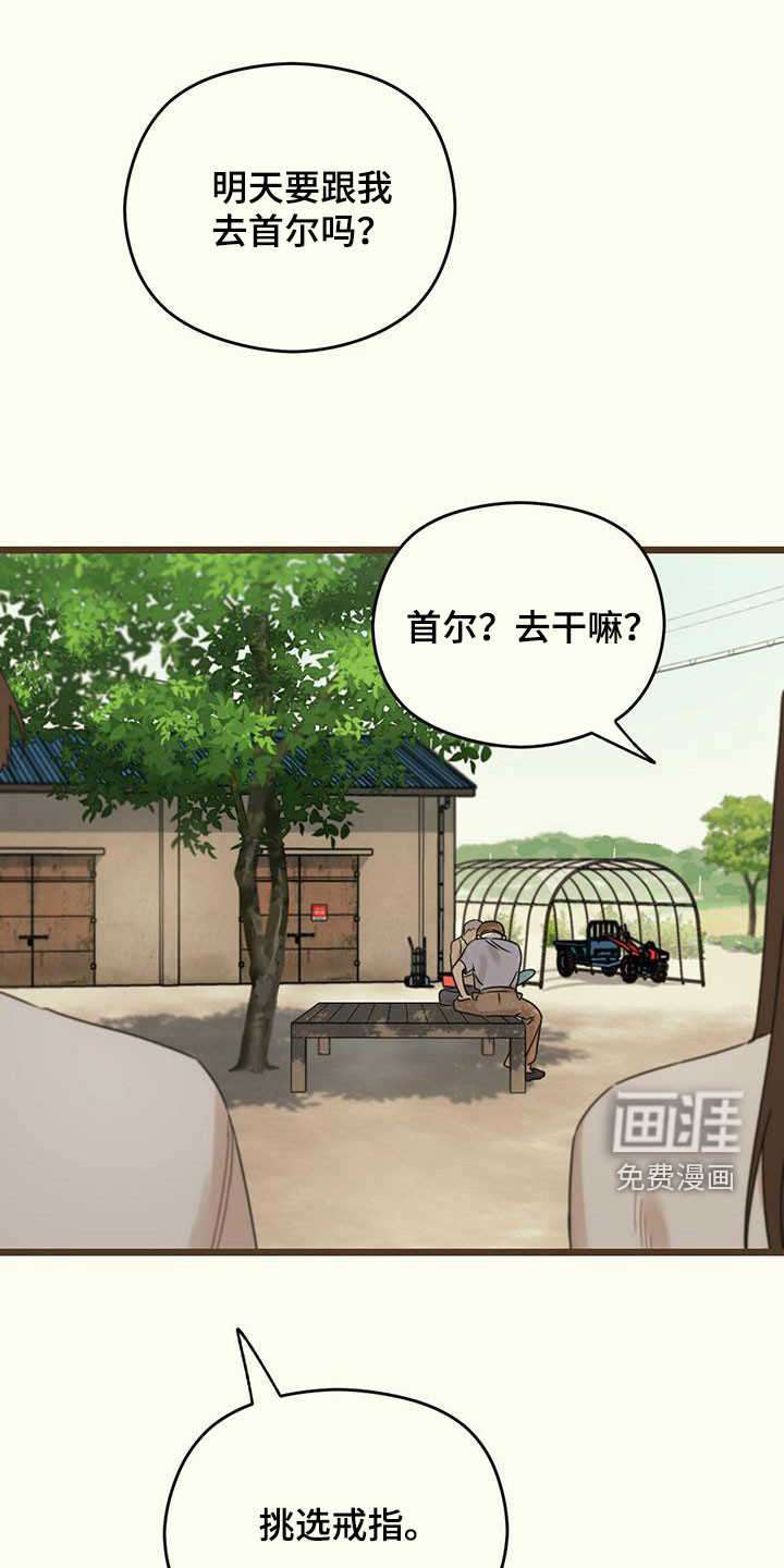 第45章：讽刺12