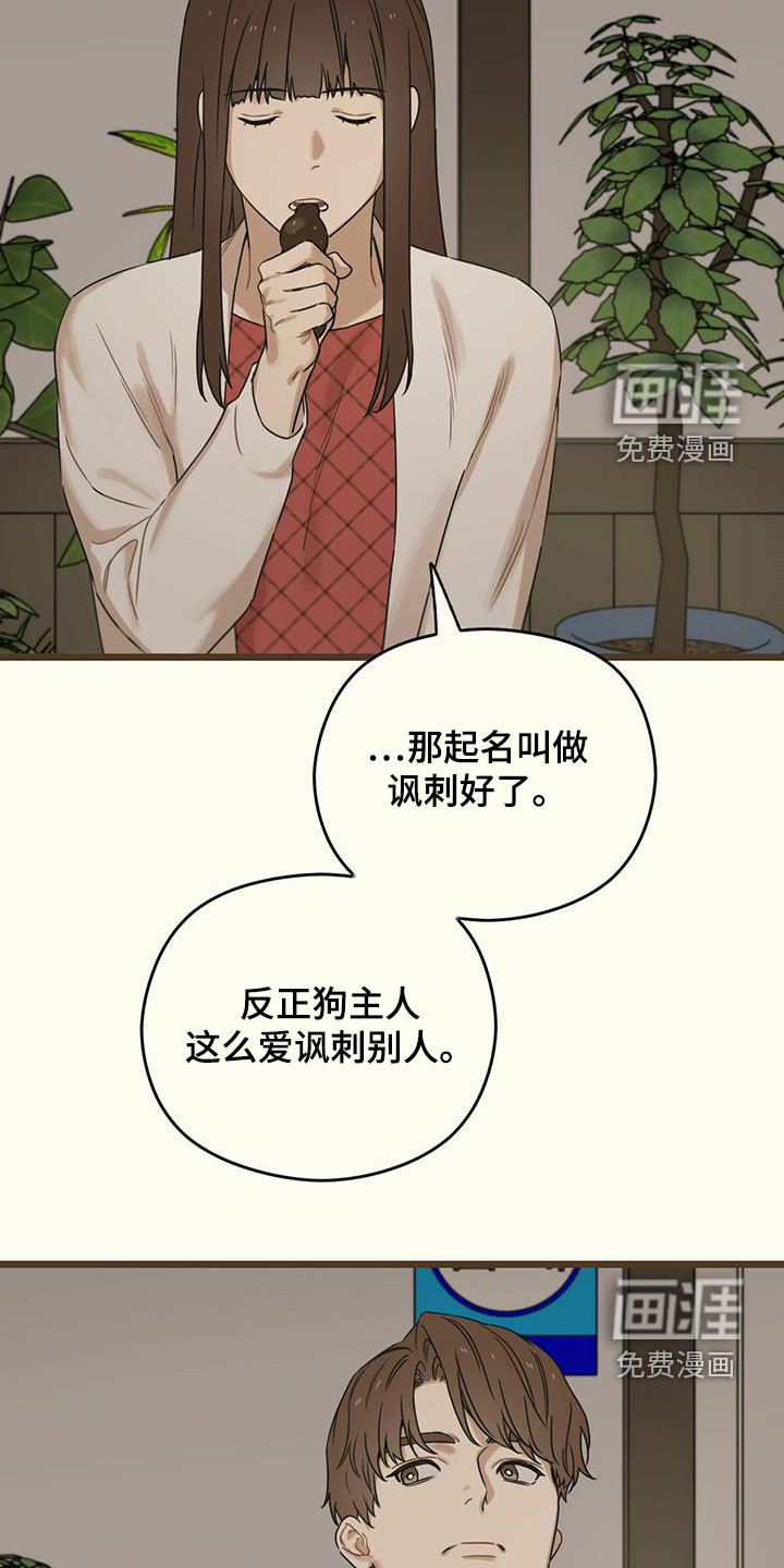 第45章：讽刺21