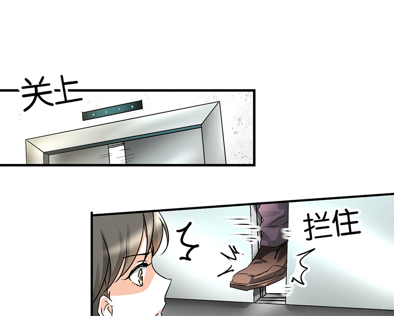 第11章：极品老爸和卑鄙老公19