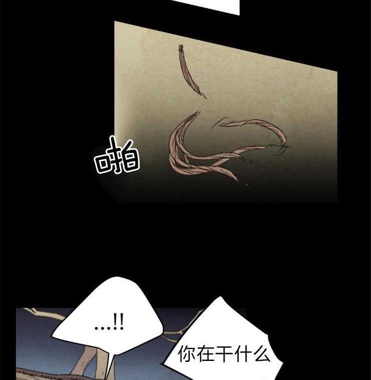 第161话_来偷走你1