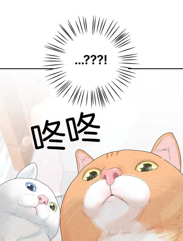 第95话_温馨的家37