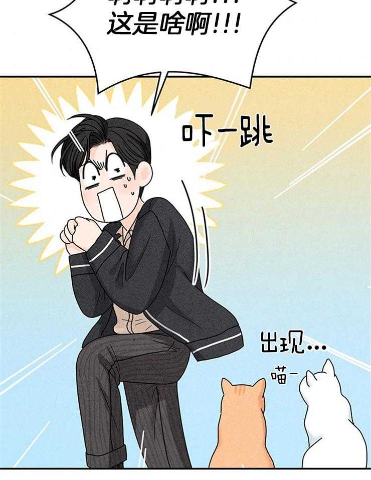 第76话_捡回家的新成员38